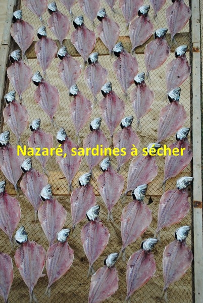 60 Nazaré. Sardines à sécher
