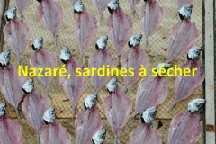 60 Nazaré. Sardines à sécher